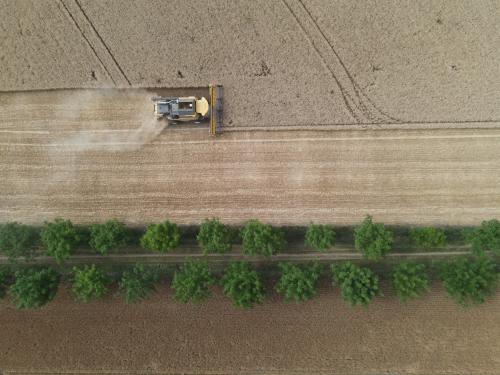 DJI_3632.JPG